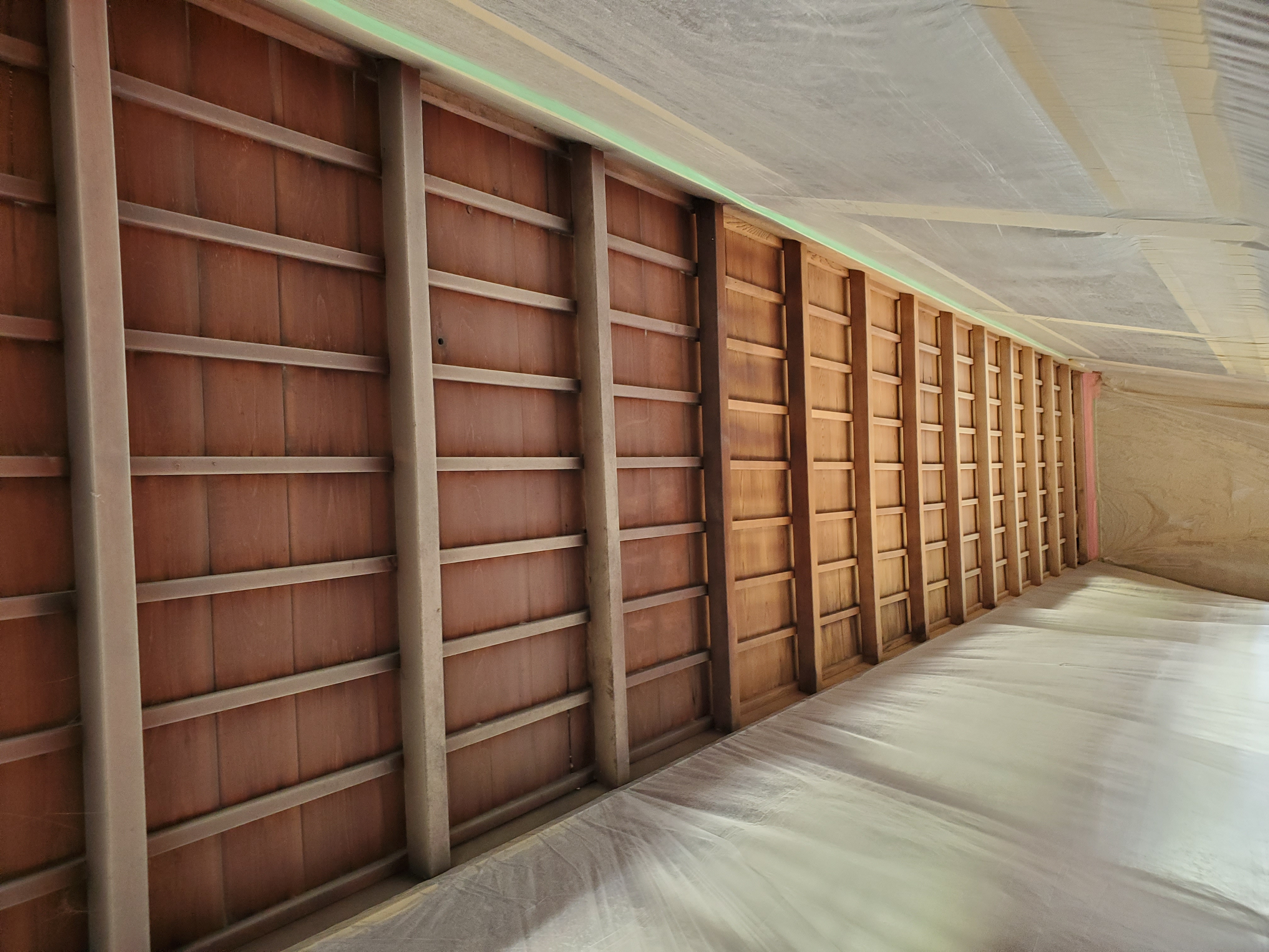 12/5�@�E�b�h�f�U�C����2019�@����܎��